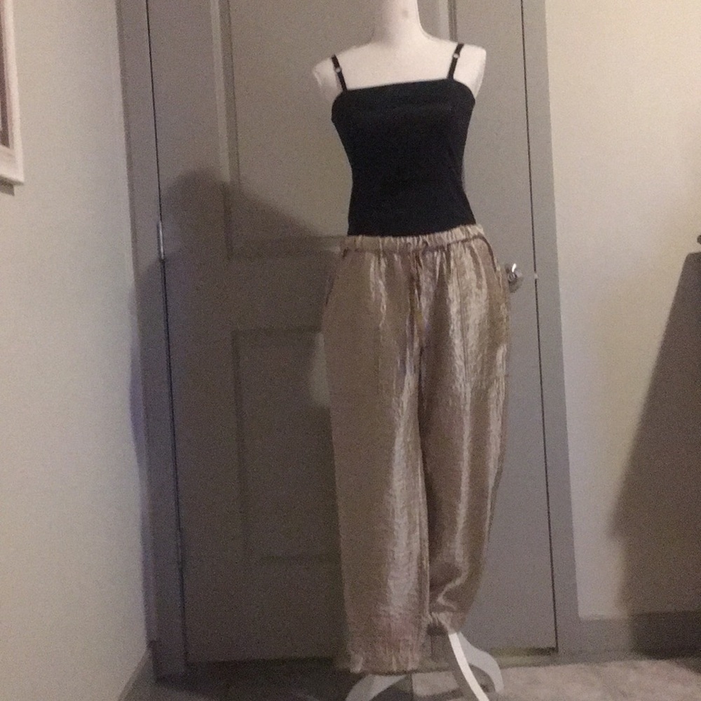 Gold track pants style pant.
